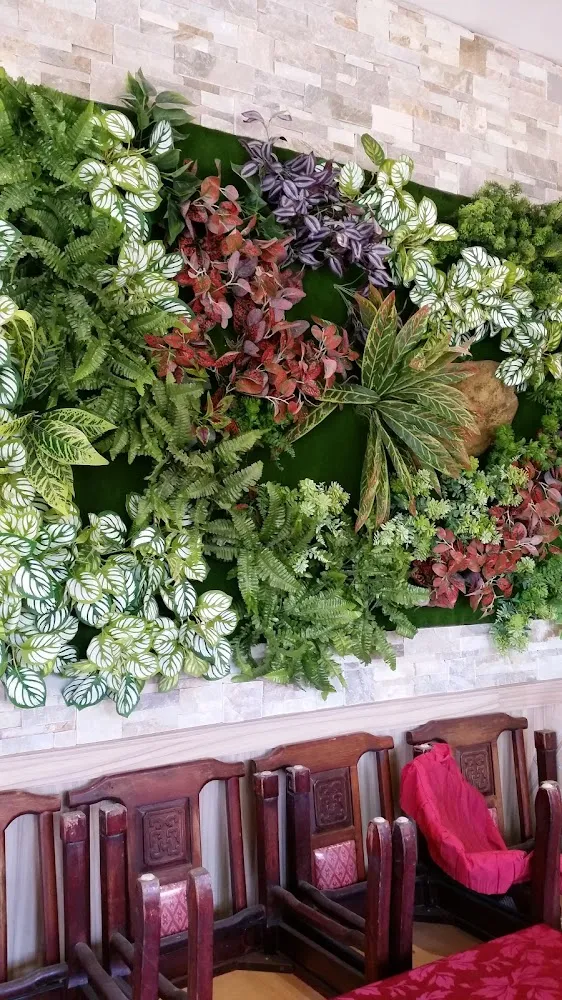 Muŕ Vegetal de Decoration